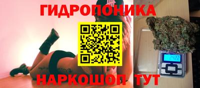 ГАЛЛЮЦИНОГЕННЫЕ ГРИБЫ Волжский
