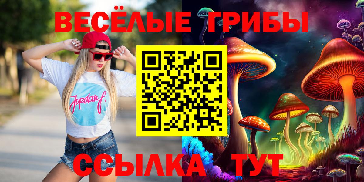 Псилоцибиновые грибы MAGIC MUSHROOMS Зеленокумск