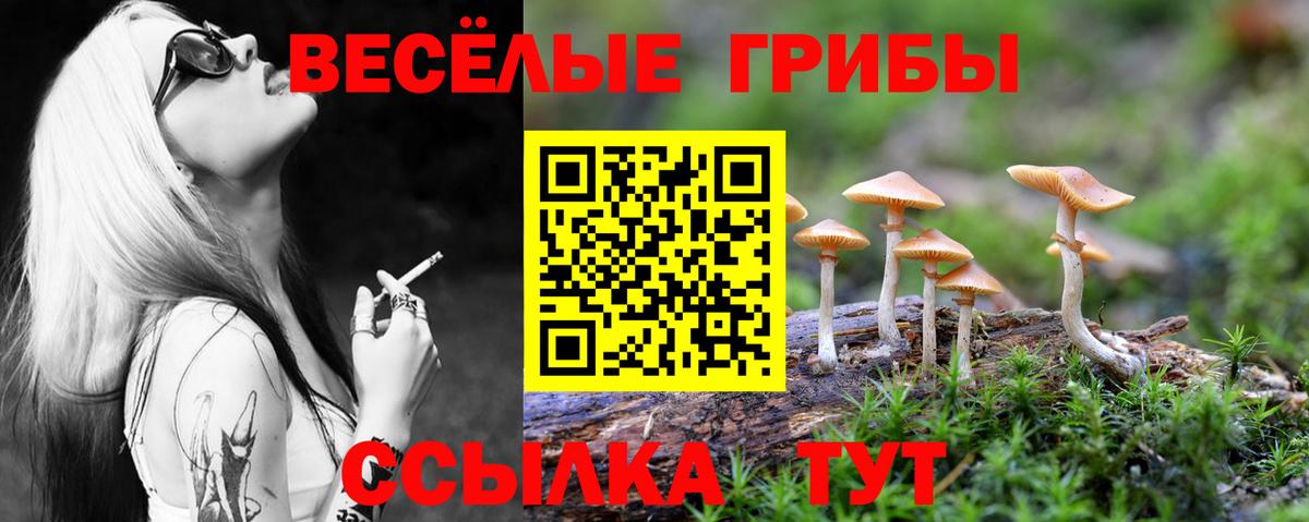 Псилоцибиновые грибы GOLDEN TEACHER  Галлюциногенные грибы Magic Shrooms  Вход с VPN  Зеленокумск 